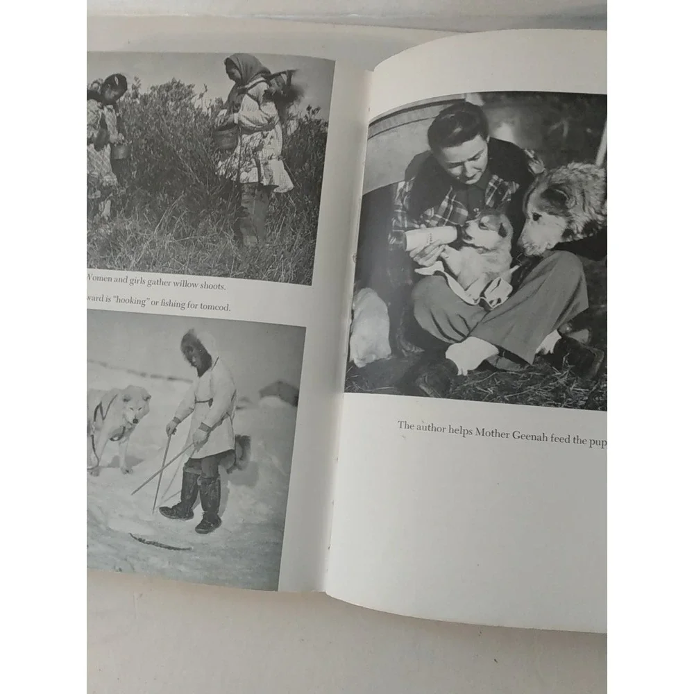 Sara Machetanz The Howl of the Malemute 1961 1st Ed HCDJ Fred Machetanz